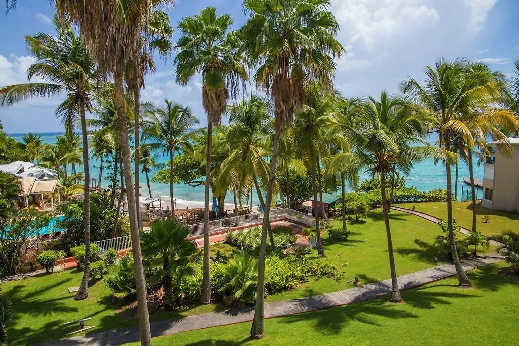 Apartment F1 Vue Mer, Acces Plage, En Centre-Ville Le Gosier